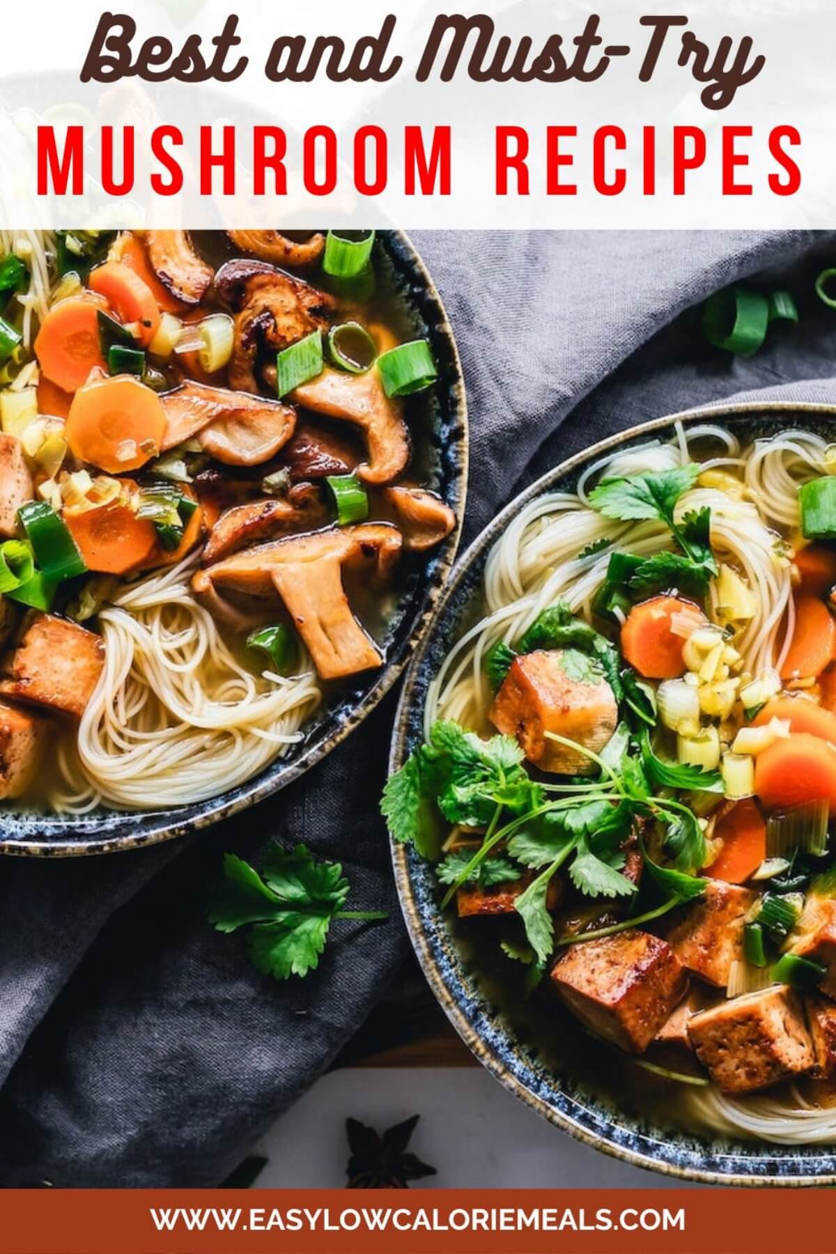Mushroom soup noodle salad along with tofu and vegetables served in black bowls.